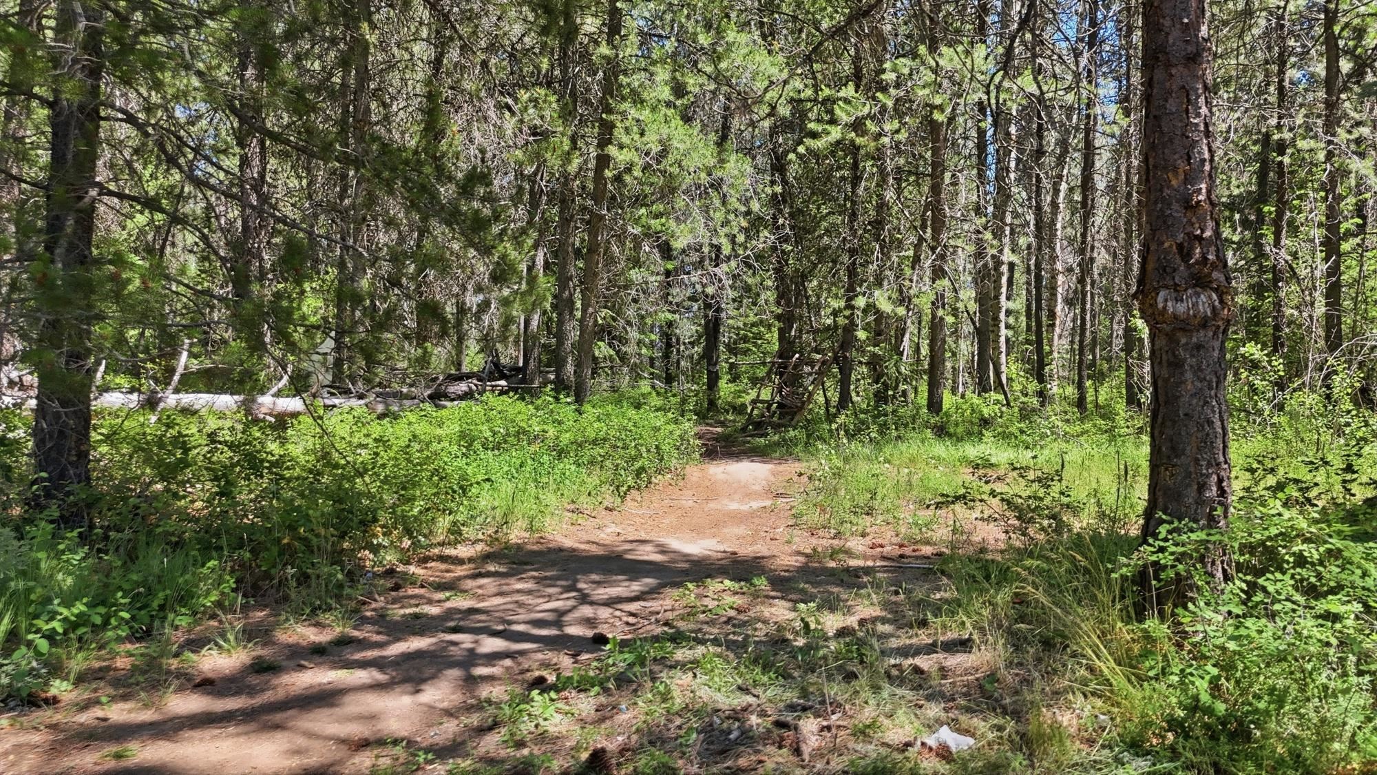 37106 N Muehle Rd - Photo 28