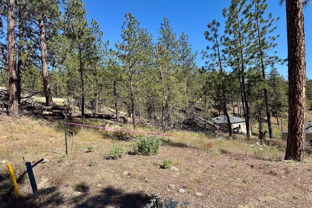 12524 E CHESTER RIDGE Ln - Photo 11