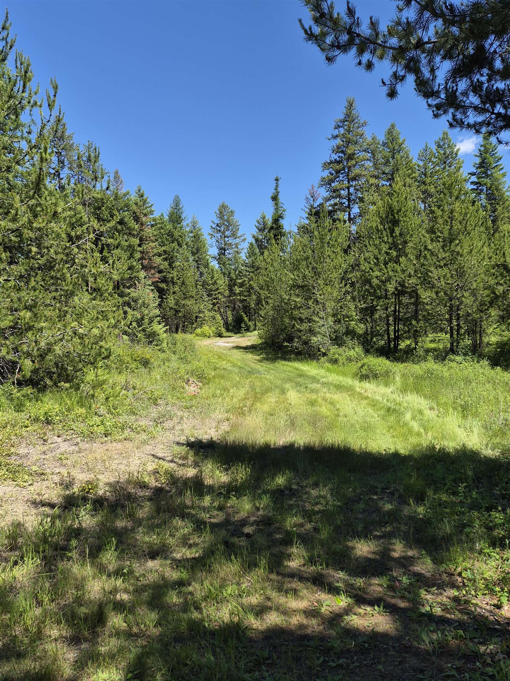 2094 Clugston Onion Creek Rd - Photo 18