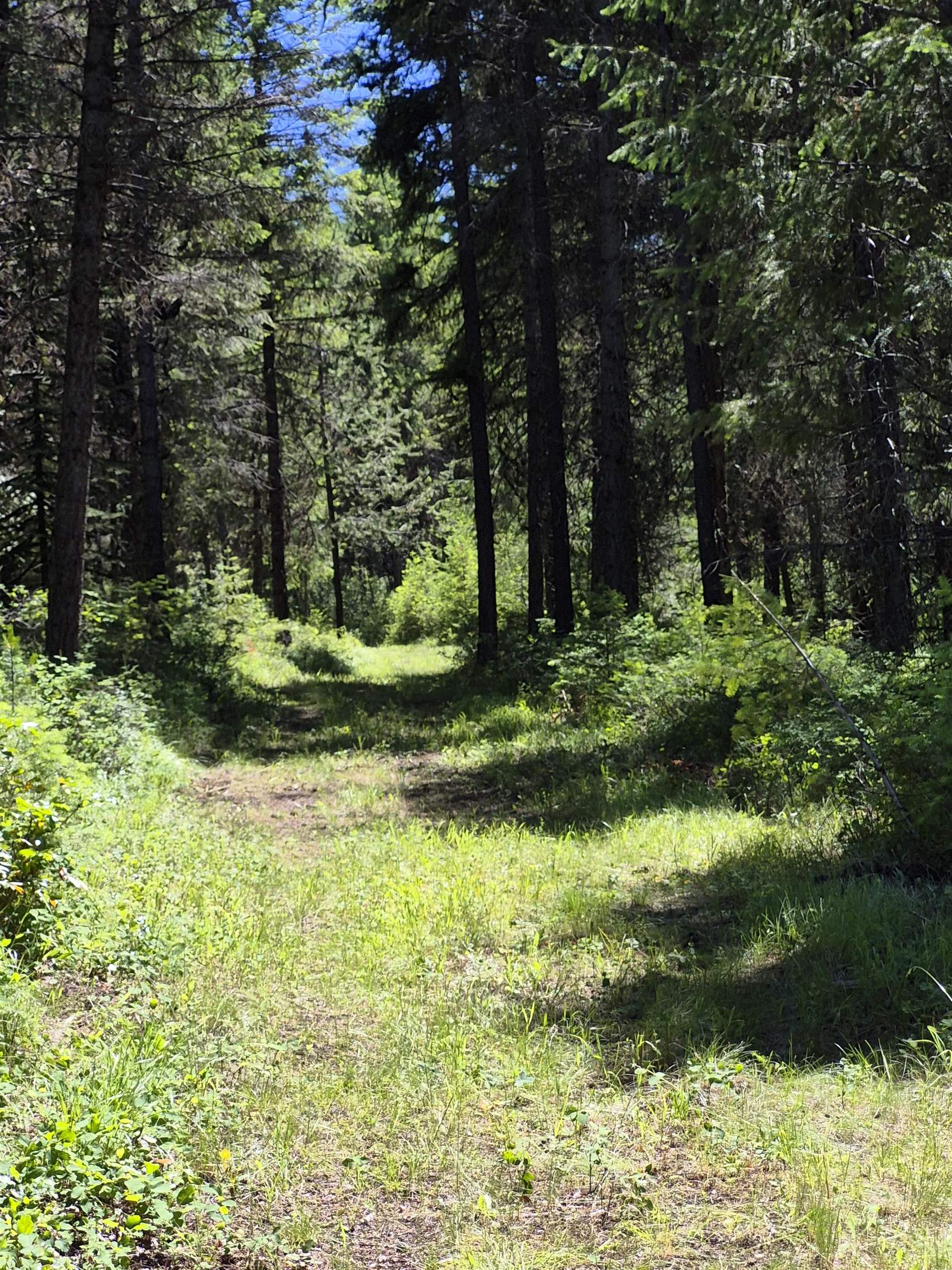 2094 Clugston Onion Creek Rd - Photo 39