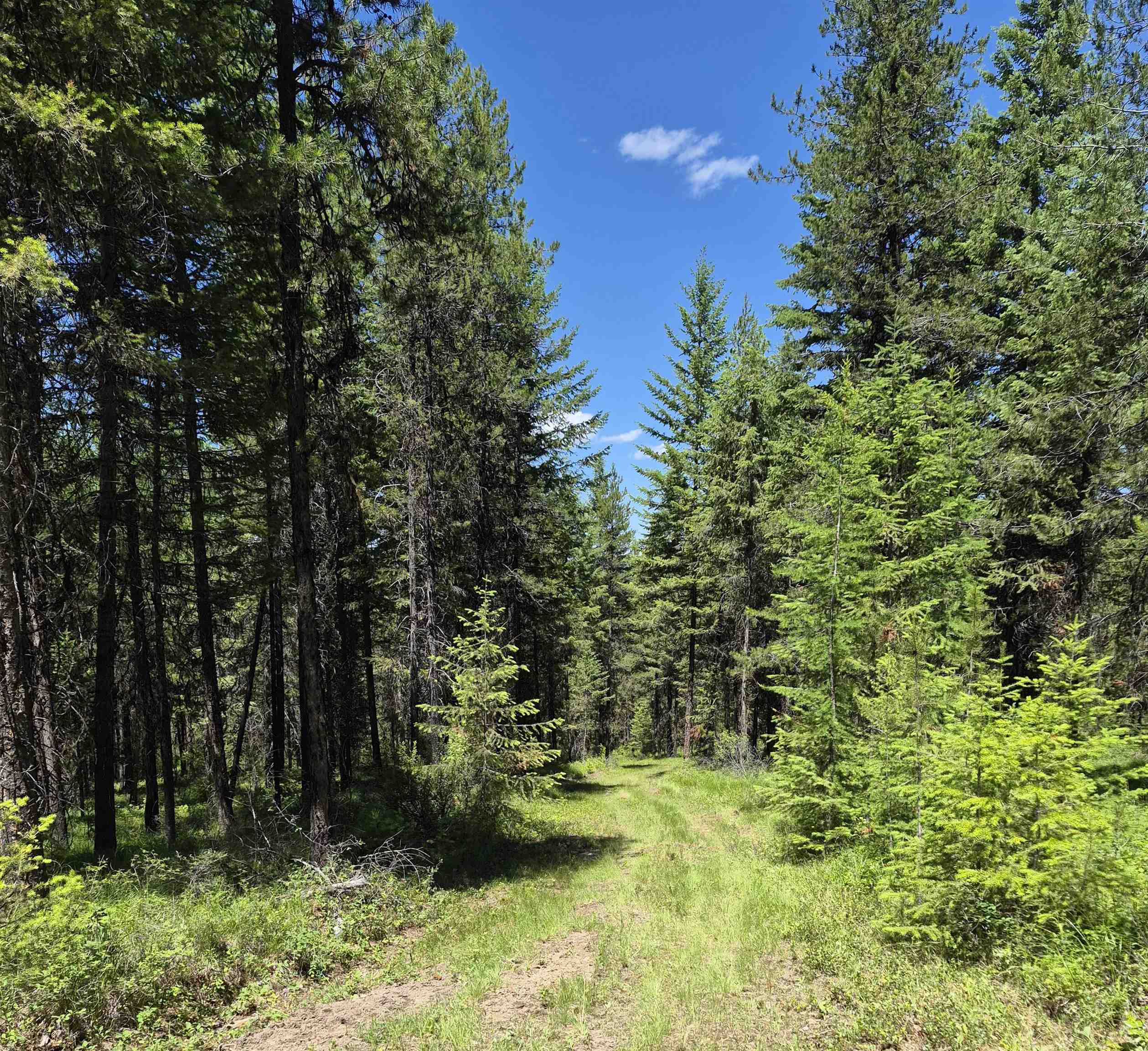 2094 Clugston Onion Creek Rd - Photo 41