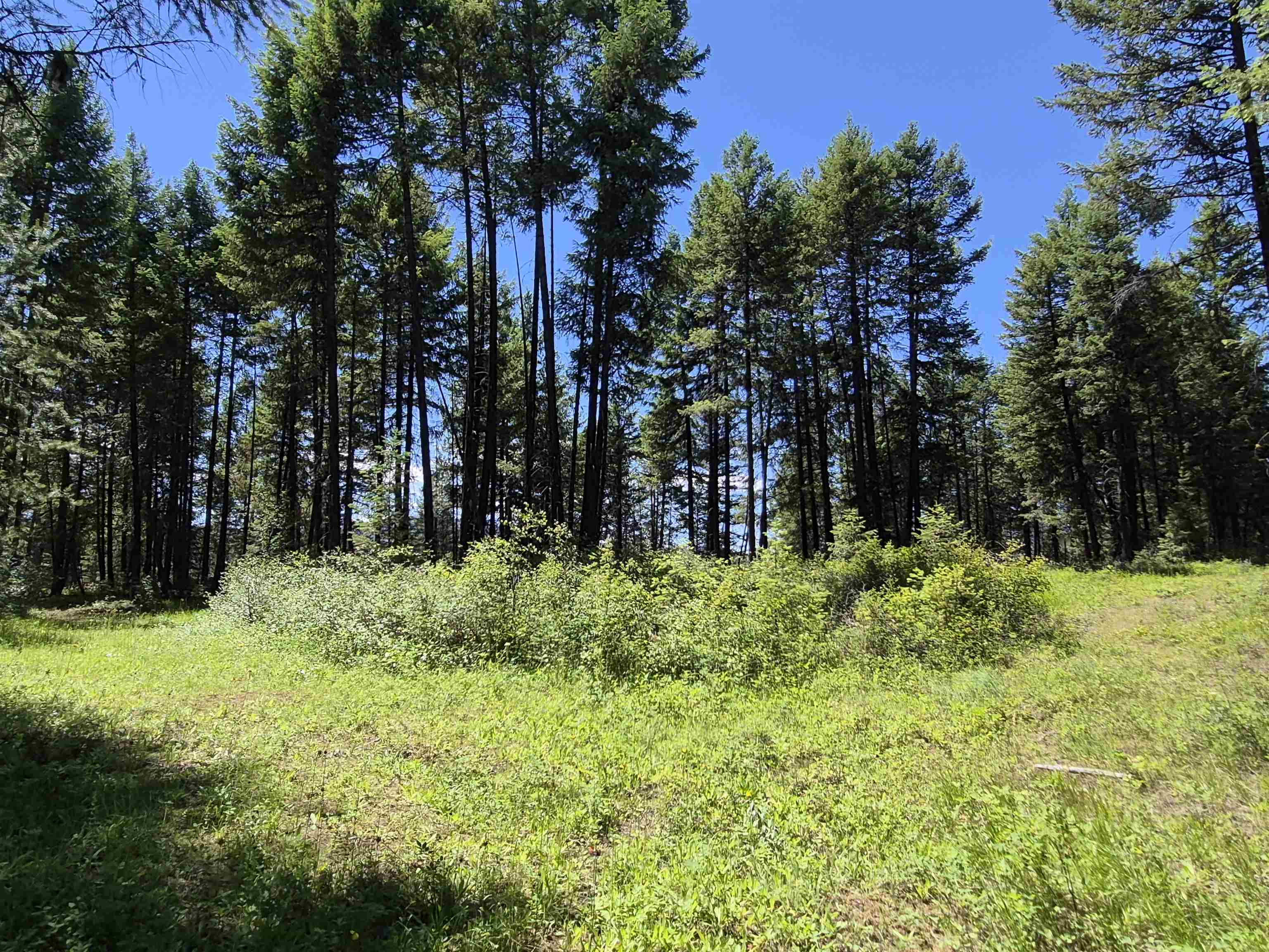 2094 Clugston Onion Creek Rd - Photo 43