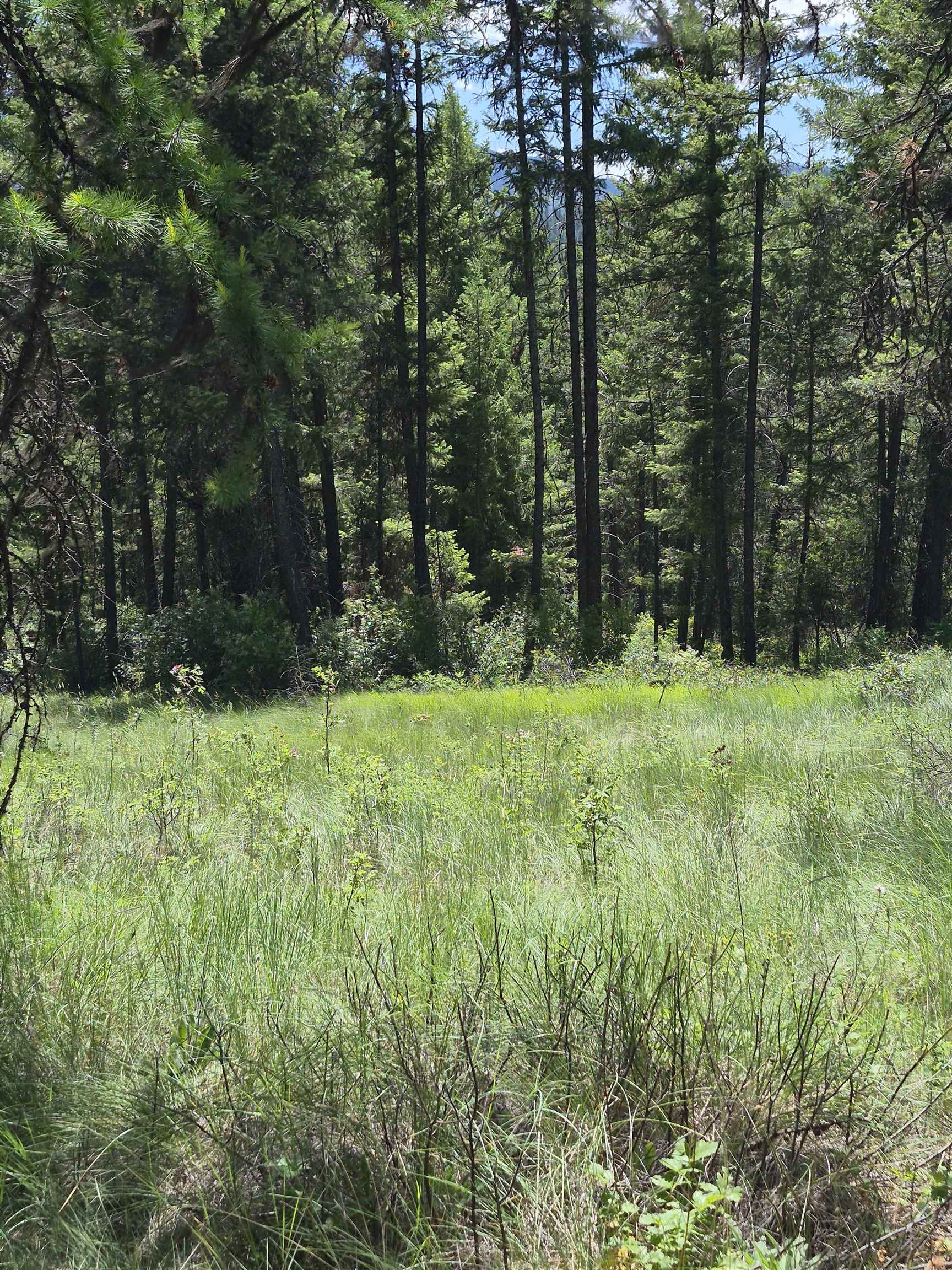 2094 Clugston Onion Creek Rd - Photo 44