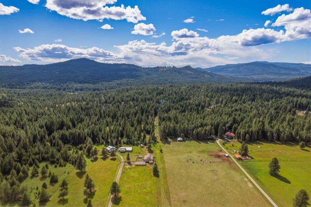 1301 Veit Rd - Photo 6