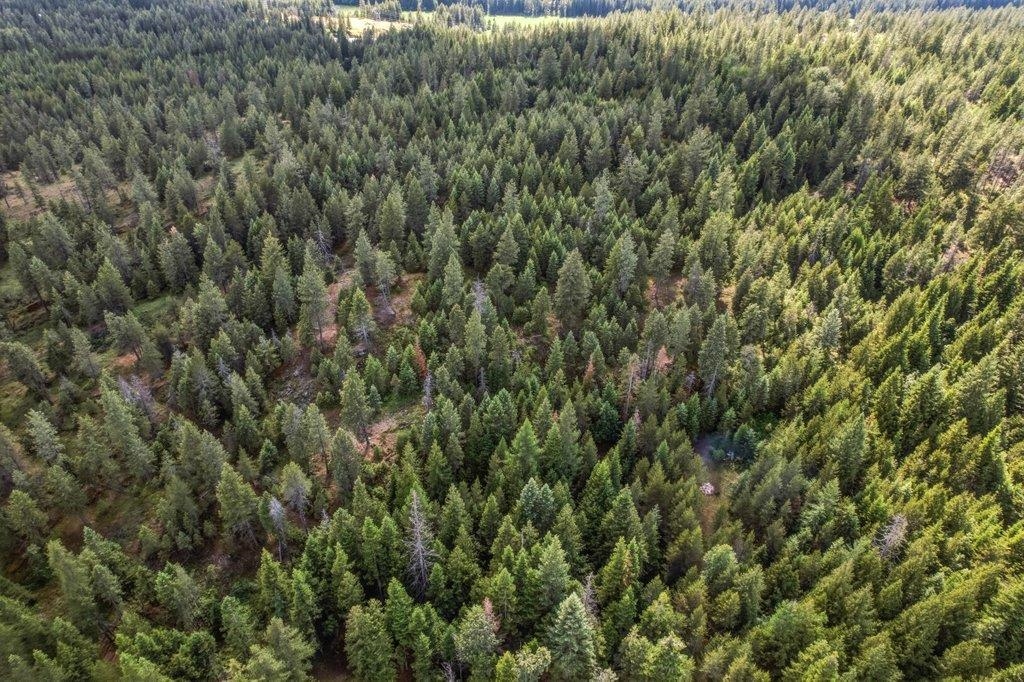 1301 Veit Rd - Photo 32