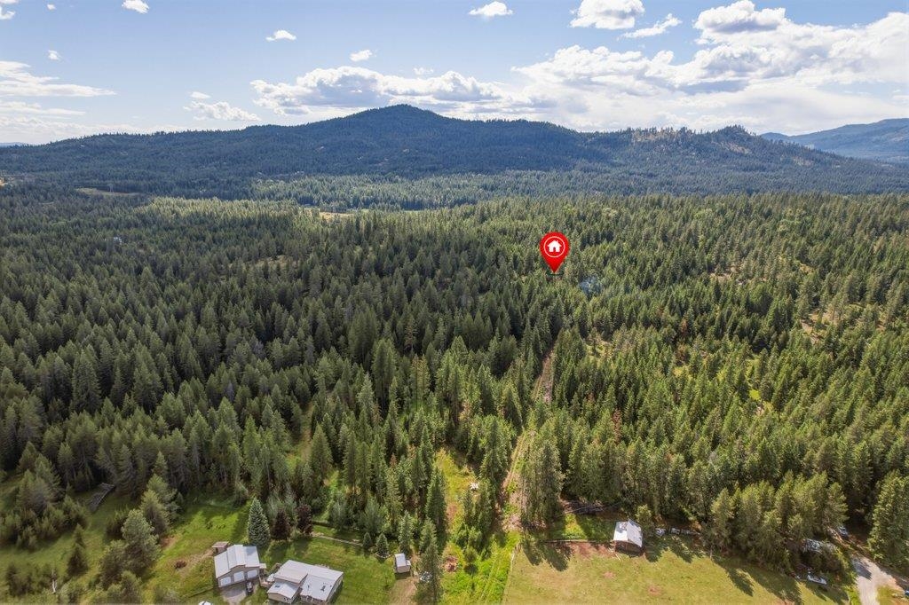 1301 Veit Rd - Photo 7