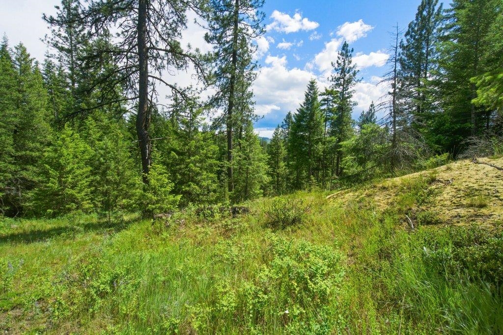 1301 Veit Rd - Photo 8