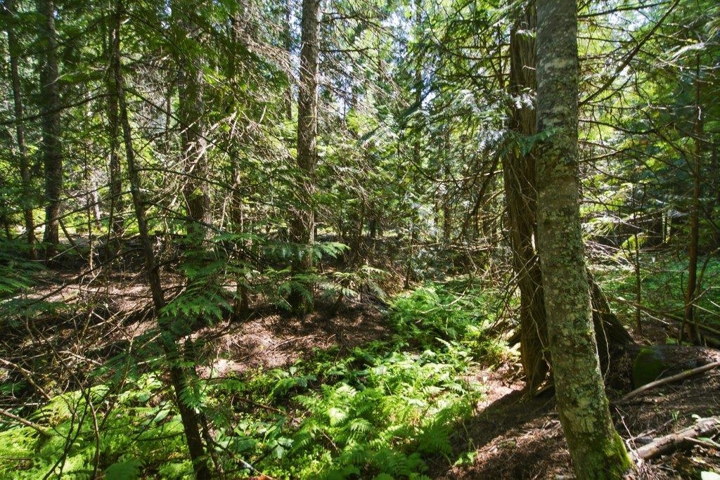 1301 Veit Rd - Photo 10