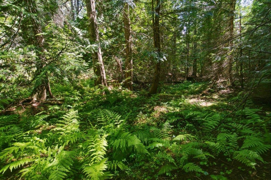 1301 Veit Rd - Photo 12