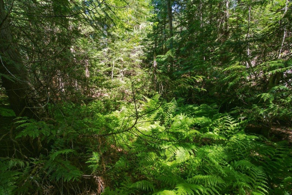 1301 Veit Rd - Photo 13
