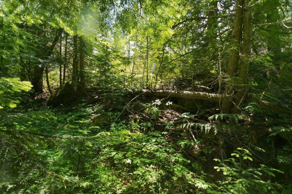 1301 Veit Rd - Photo 14