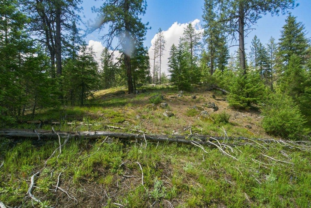 1301 Veit Rd - Photo 15