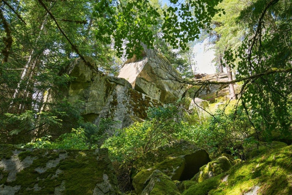 1301 Veit Rd - Photo 20