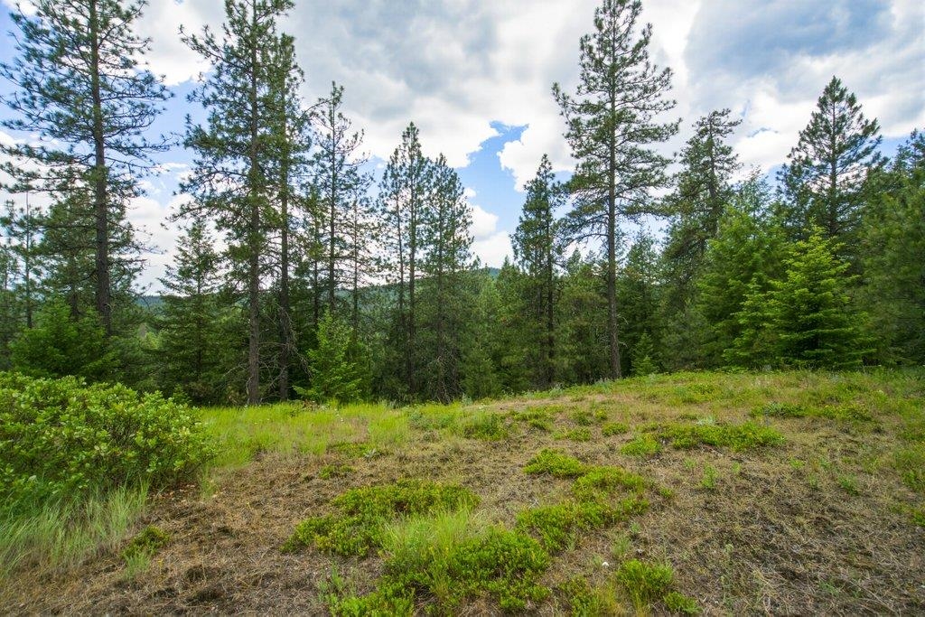1301 Veit Rd - Photo 23