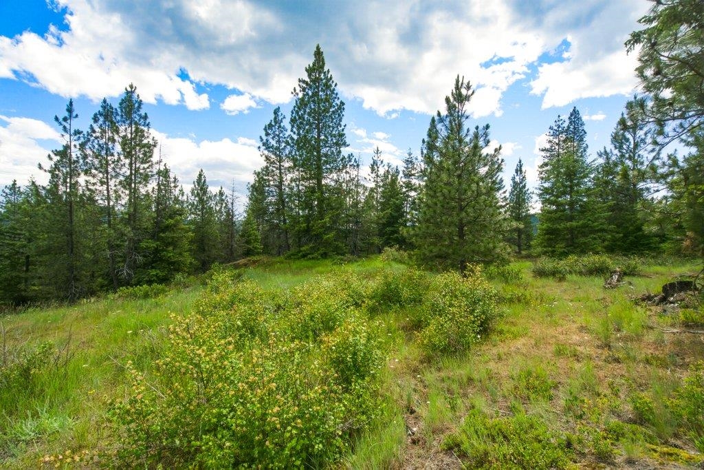 1301 Veit Rd - Photo 24