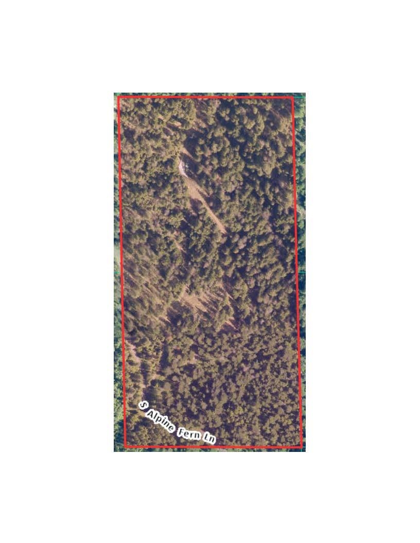 11507 S Alpine Fern Ln - Photo 17
