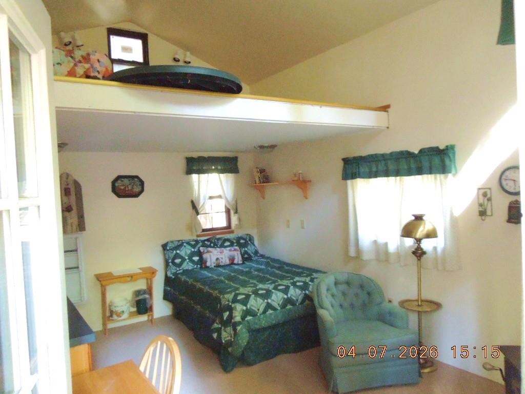 11507 S Alpine Fern Ln - Photo 3