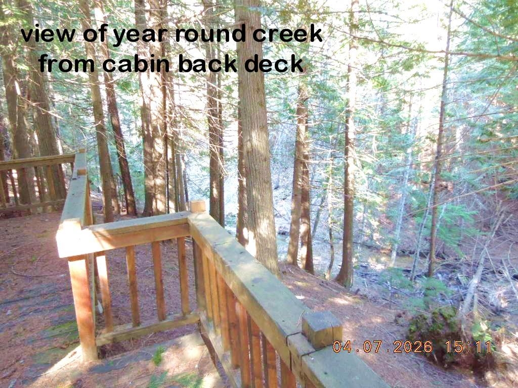 11507 S Alpine Fern Ln - Photo 5