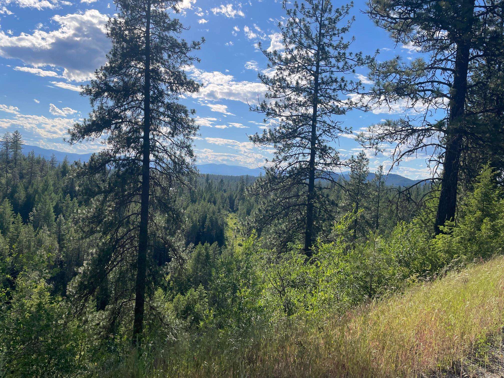 NKN Bead Lake Road Rd - Photo 5