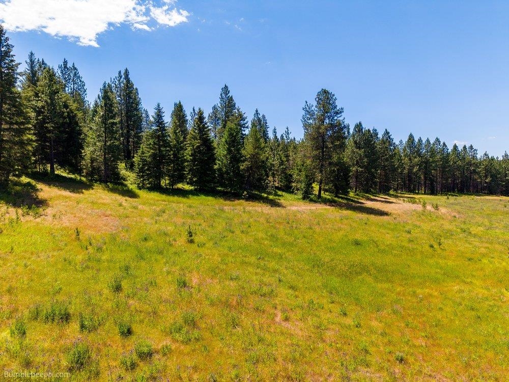 10307 E Jasmine Ln - Photo 13