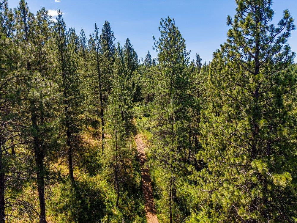 10307 E Jasmine Ln - Photo 22