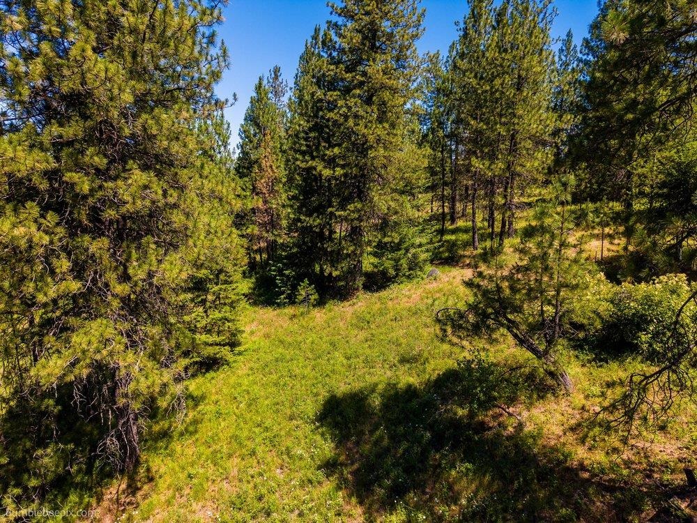 10307 E Jasmine Ln - Photo 24