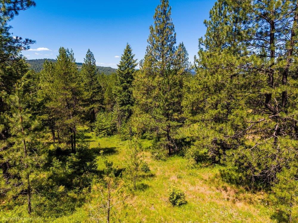 10307 E Jasmine Ln - Photo 25