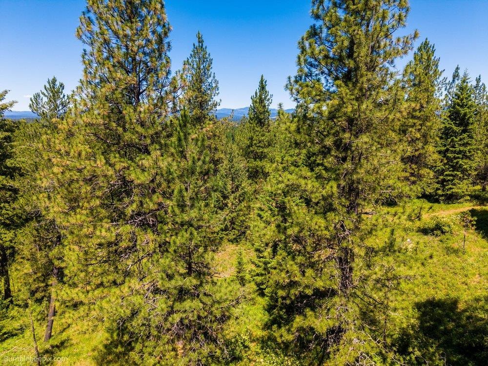 10307 E Jasmine Ln - Photo 27