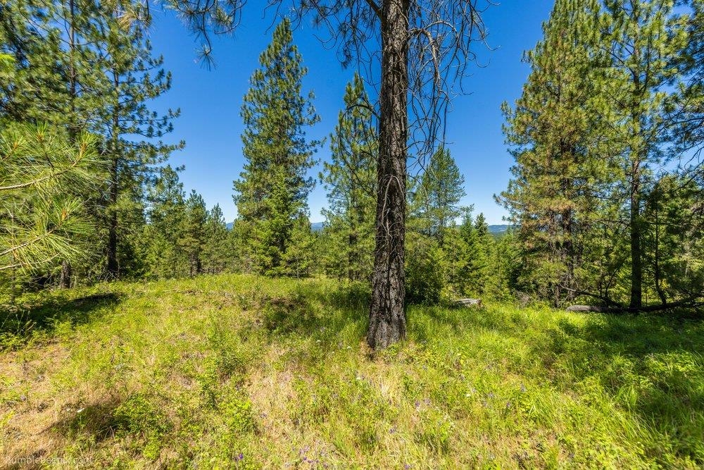 10307 E Jasmine Ln - Photo 36