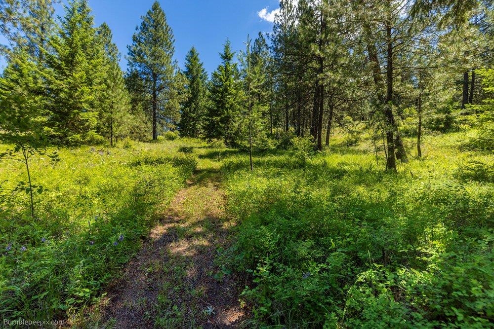 10307 E Jasmine Ln - Photo 44