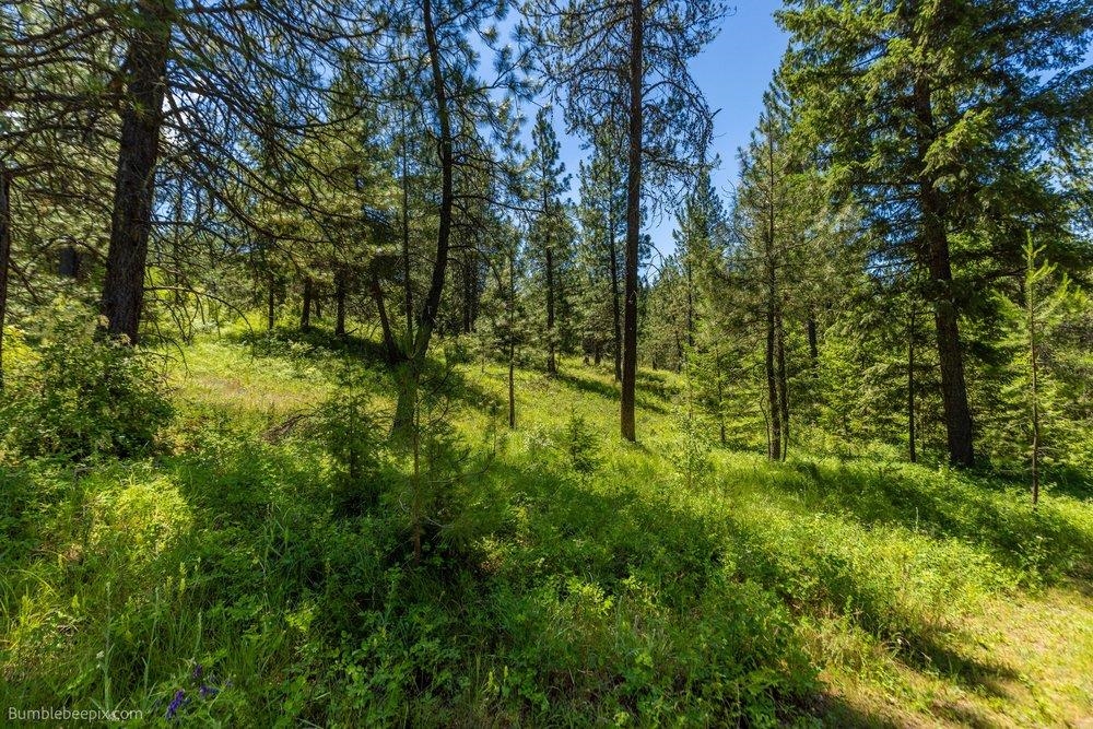 10307 E Jasmine Ln - Photo 46