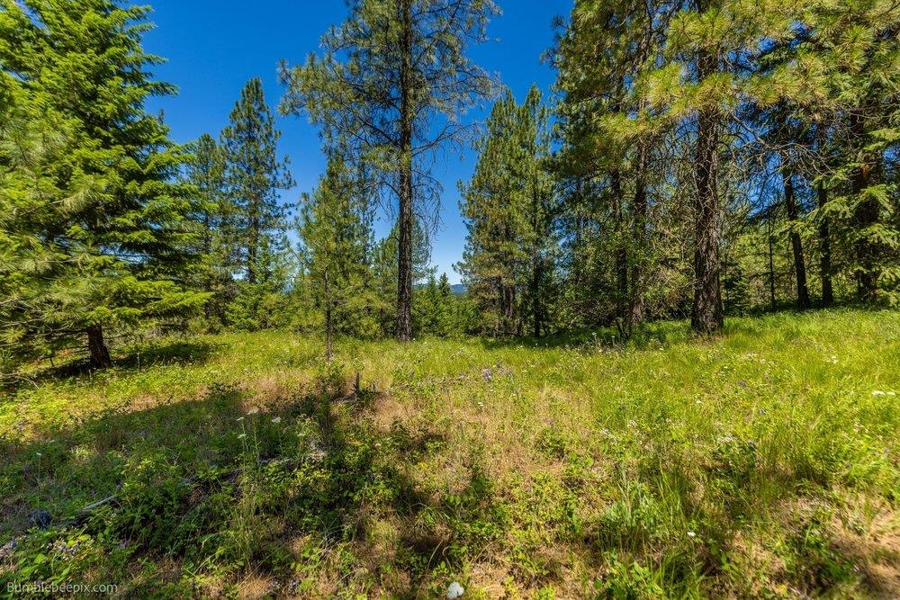10307 E Jasmine Ln - Photo 47