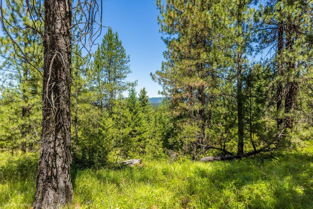 10307 E Jasmine Ln - Photo 48