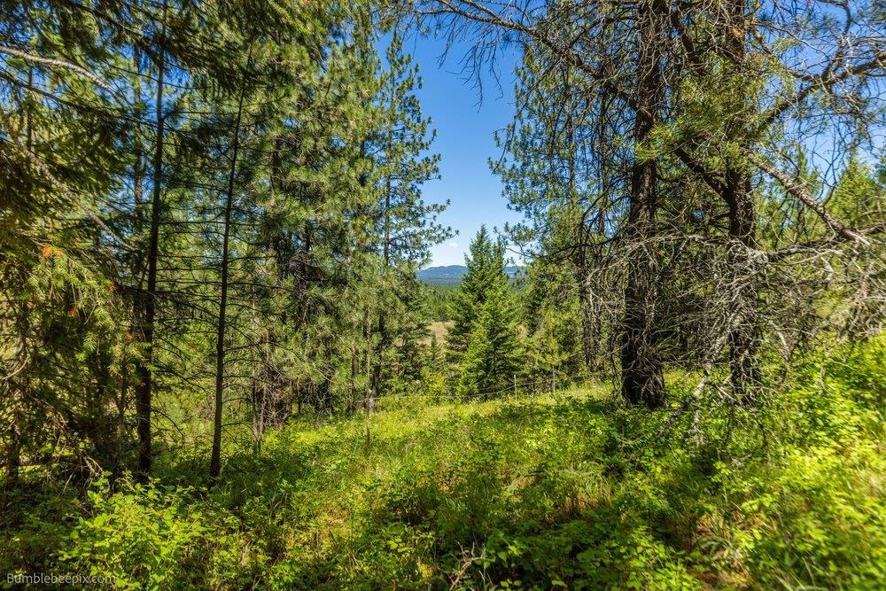 10307 E Jasmine Ln - Photo 49