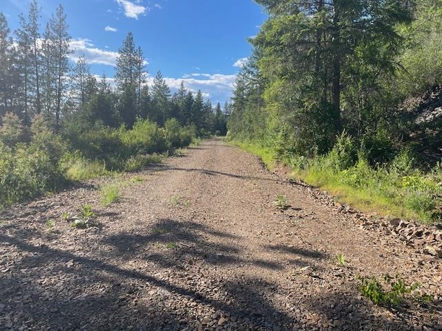NKN Bead Lake Road Rd - Photo 22