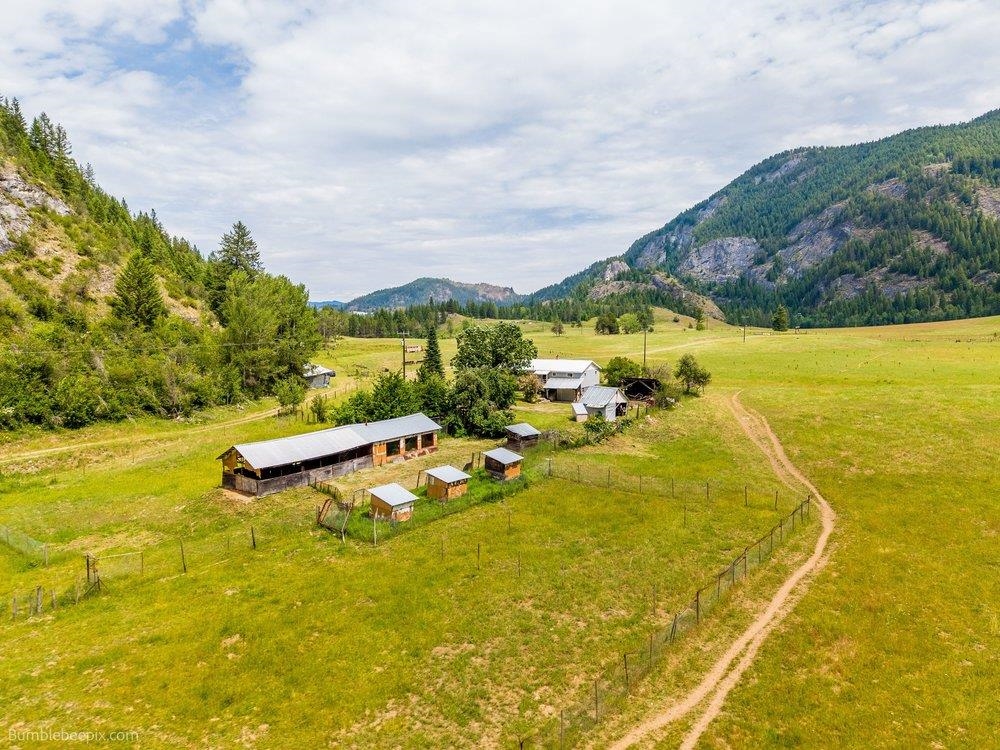 4345 Wilcox Rd - Photo 42