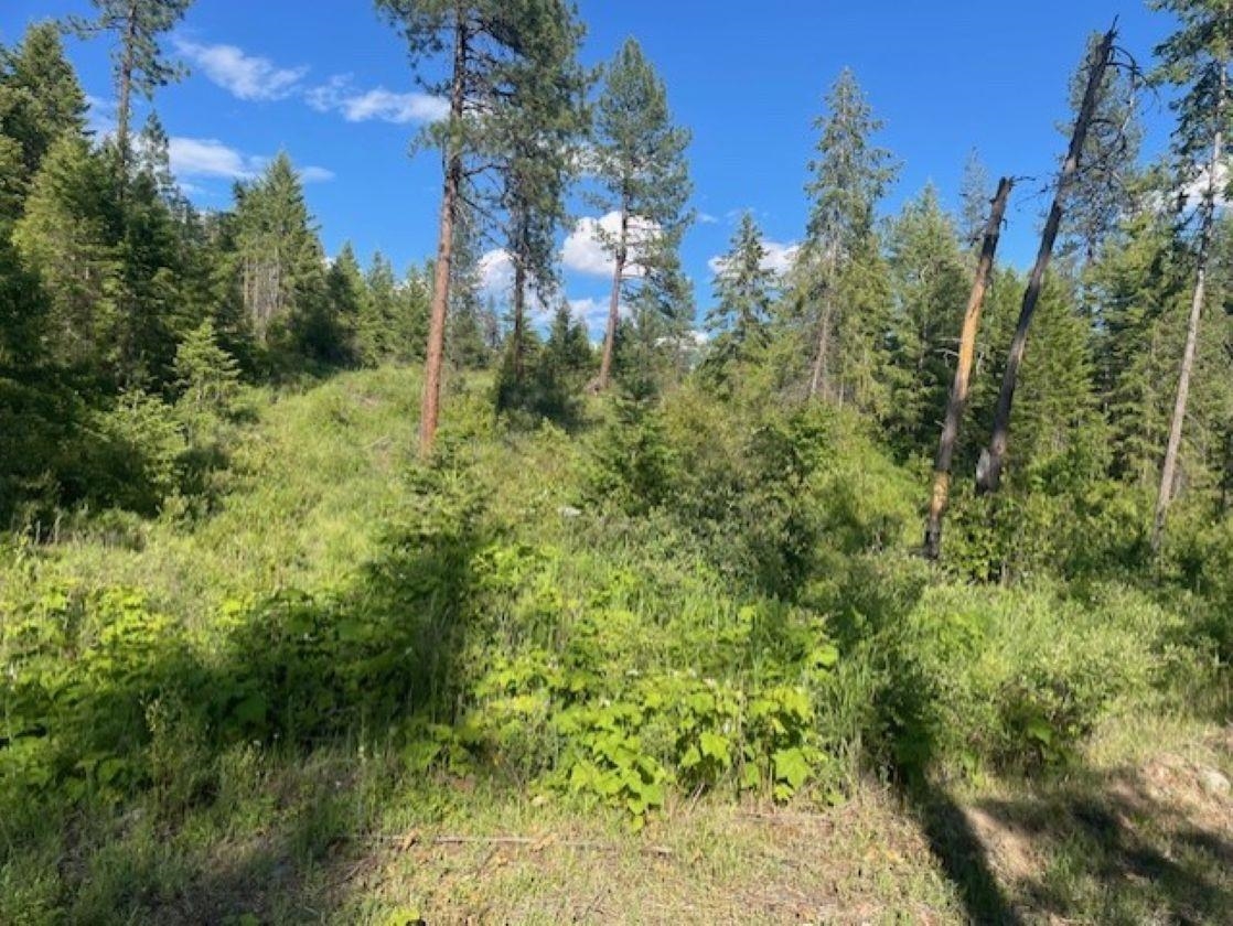NKN Bead Lake Road Rd - Photo 4