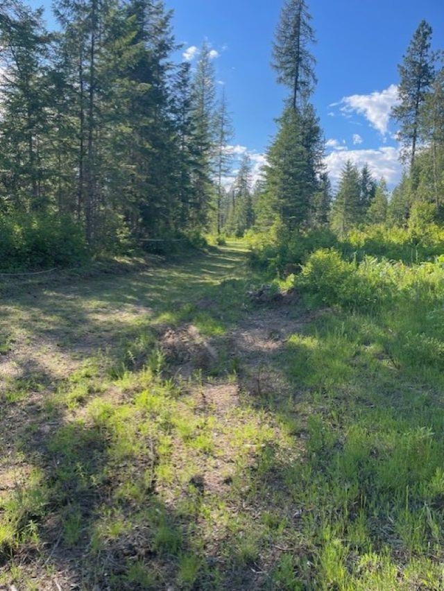 NKN Bead Lake Road Rd - Photo 27