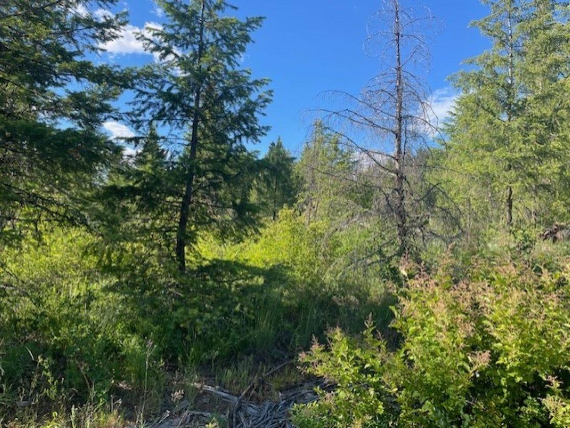 NKN Bead Lake Road Rd - Photo 7