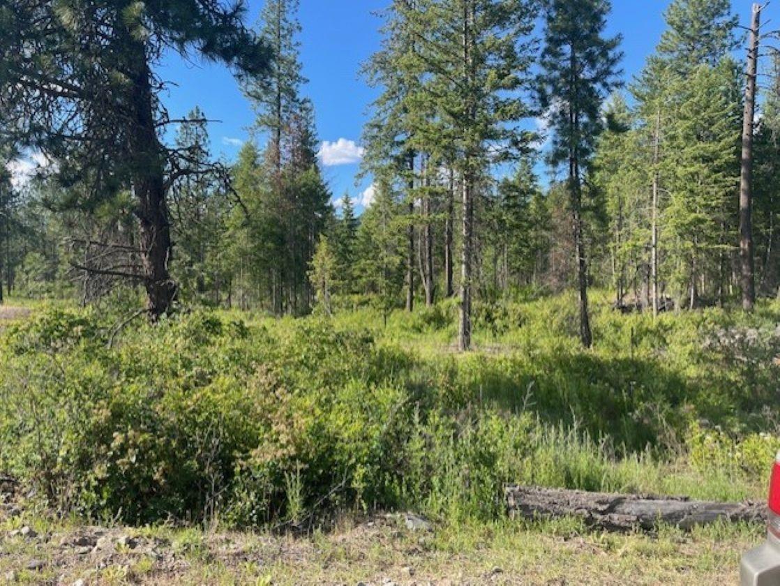 NKN Bead Lake Road Rd - Photo 12