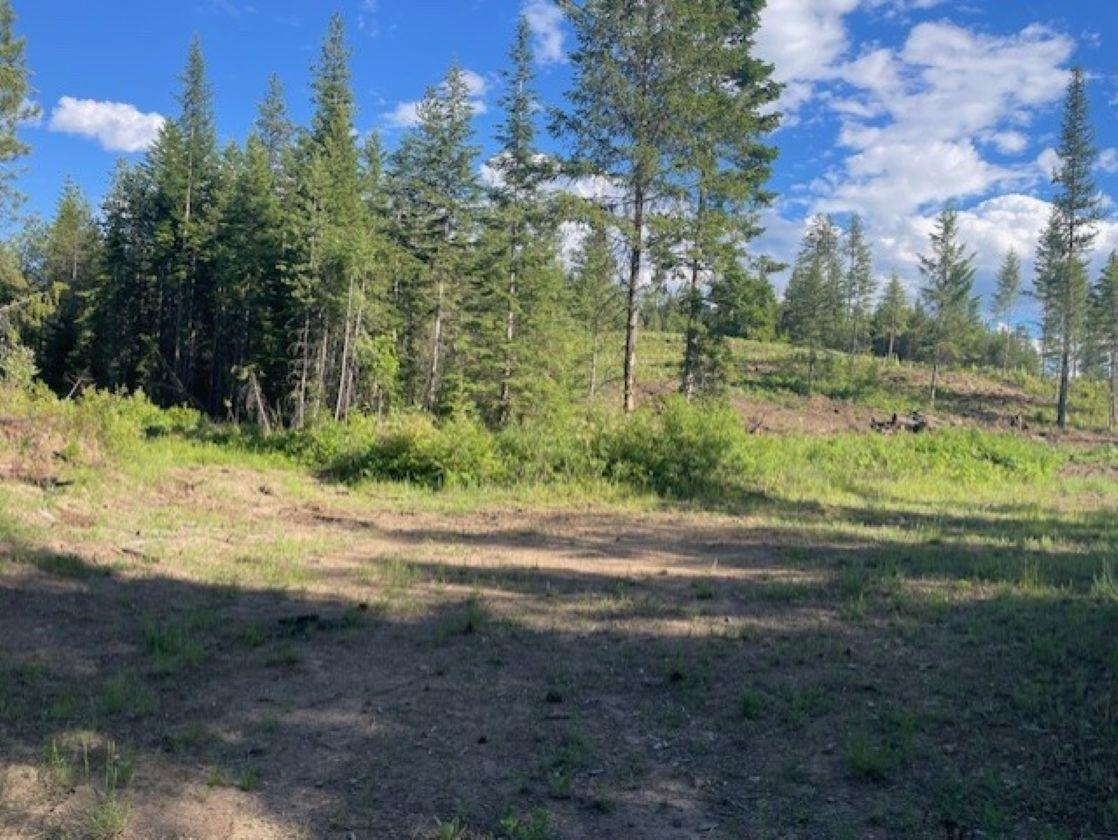 NKN Bead Lake Road Rd - Photo 1