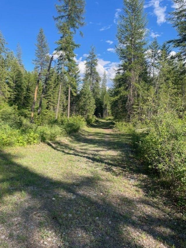 NKN Bead Lake Road Rd - Photo 23