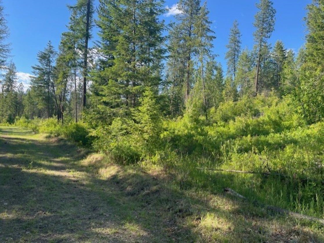 NKN Bead Lake Road Rd - Photo 17