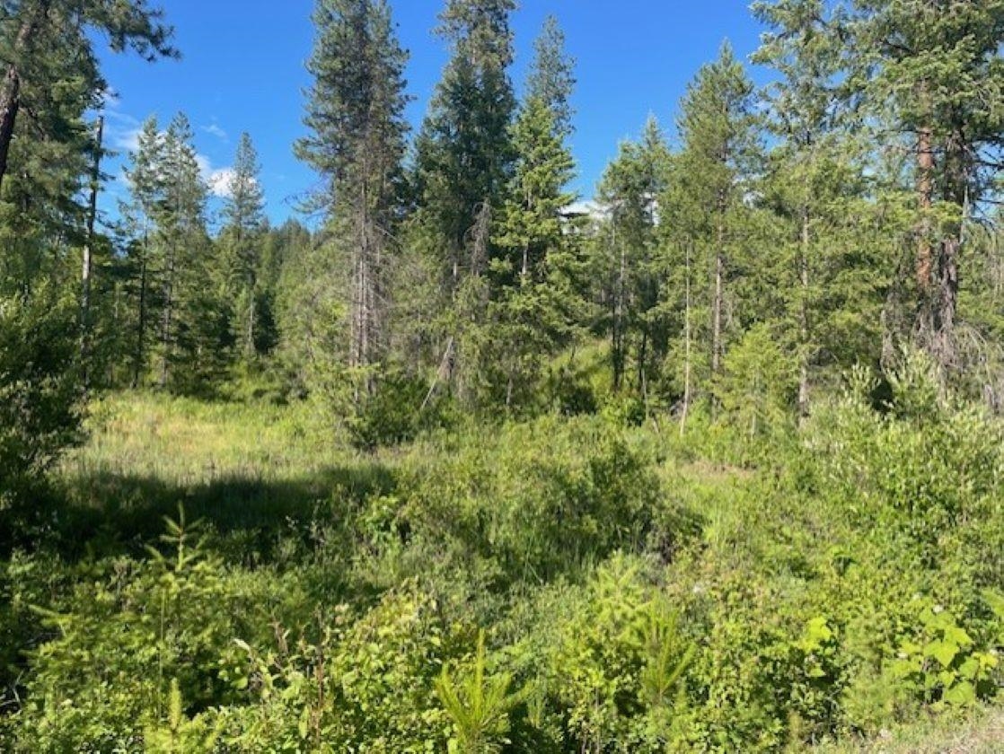 NKN Bead Lake Road Rd - Photo 10