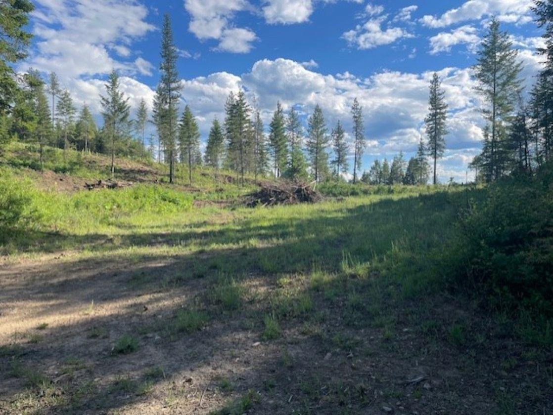 NKN Bead Lake Road Rd - Photo 2