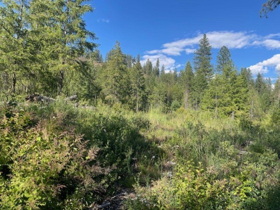NKN Bead Lake Road Rd - Photo 13