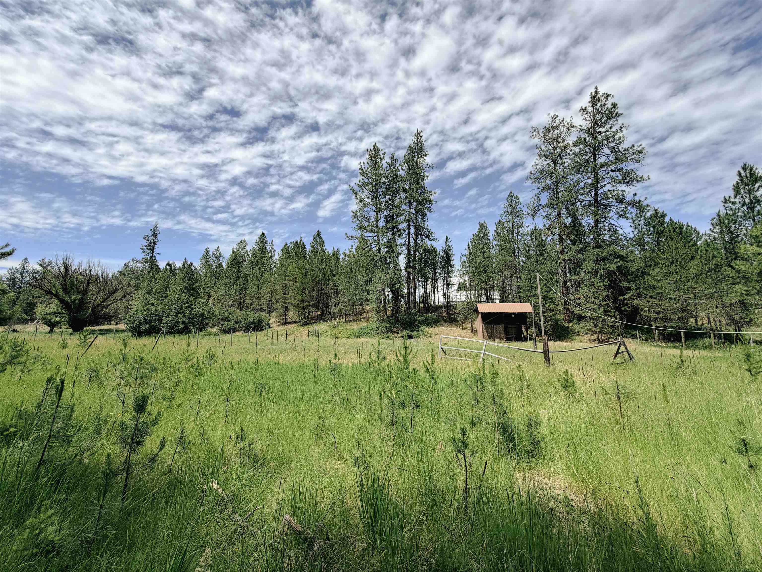 3179 Church Rd - Photo 33