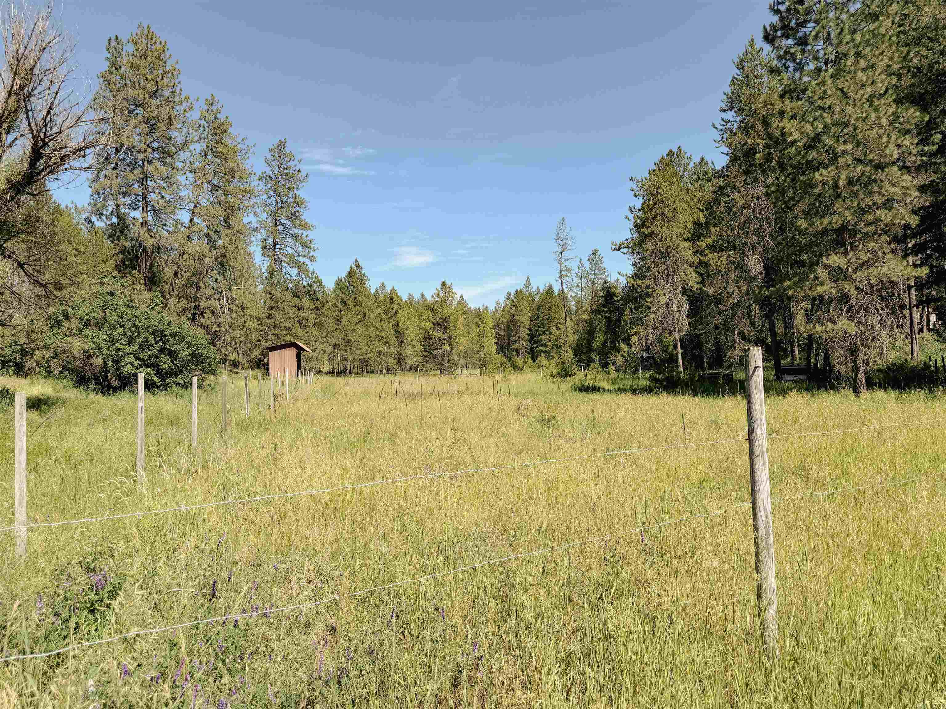3179 Church Rd - Photo 35