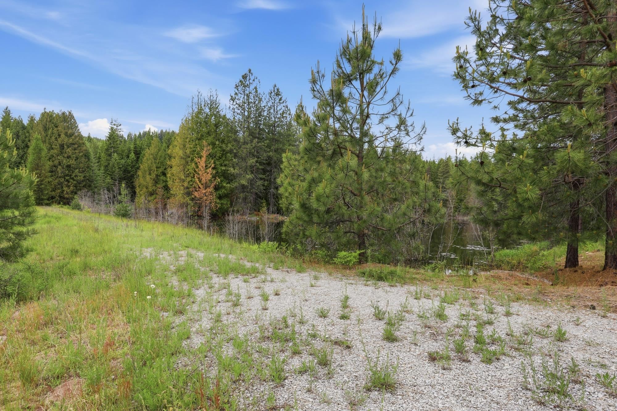 2901 211 Hwy - Photo 8