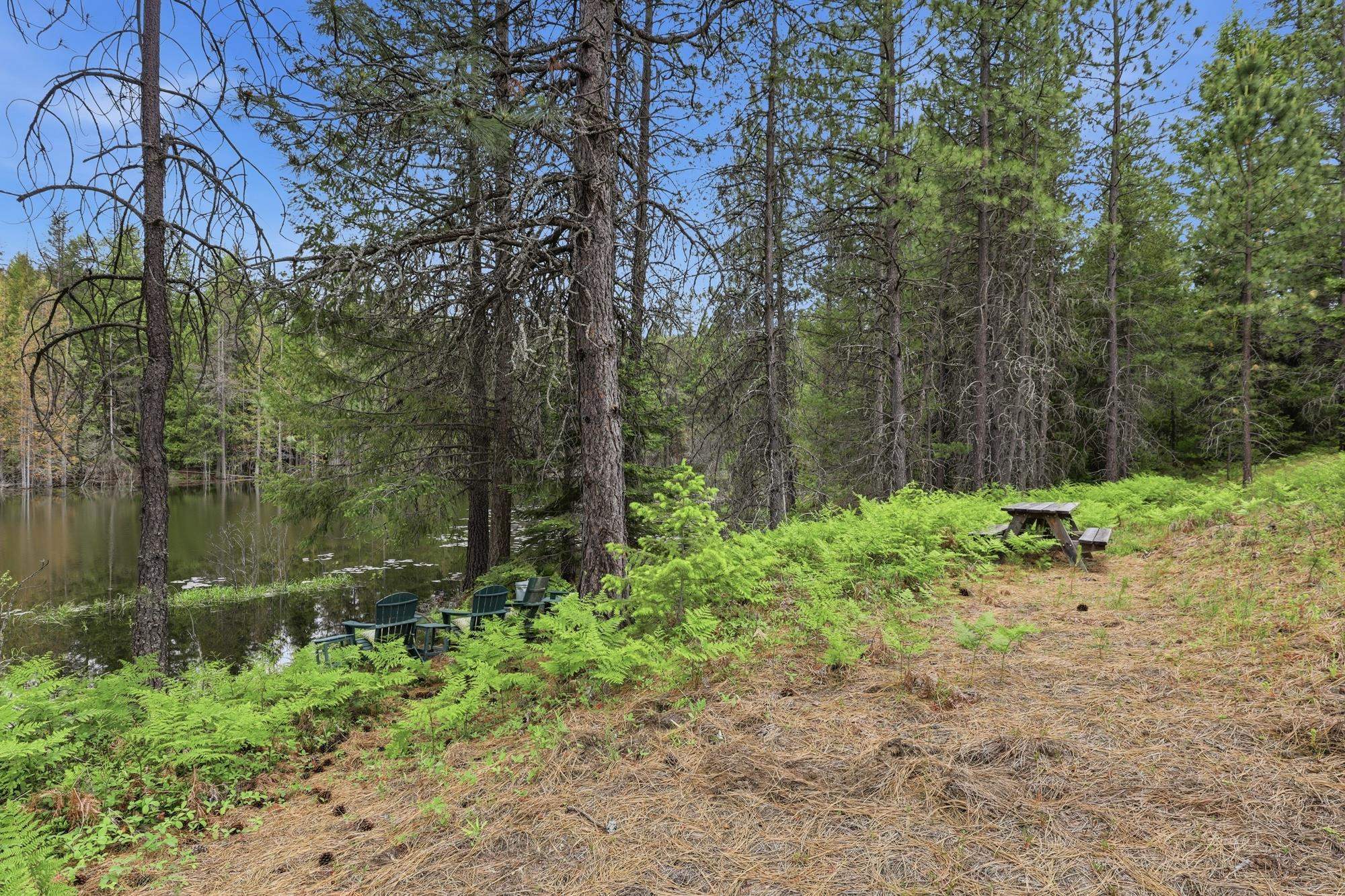 2901 211 Hwy - Photo 10
